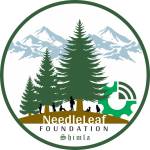 Needleleaf_Foundation Profile Picture