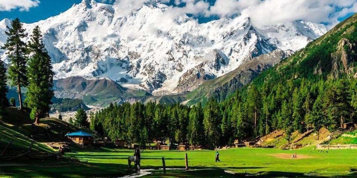 Explore the Beauty of Hunza, Skardu, and Fairy Meadows with Our Northern Pakistan Tours