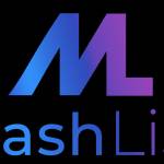 mashlist Profile Picture