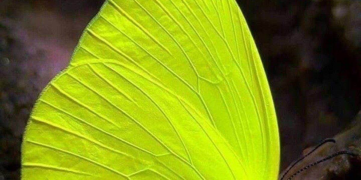 Stationery Items for Office: Essential Tools for Productivity and Organization