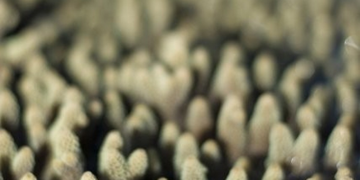 Newsroom Boyd Gaming Press Releases