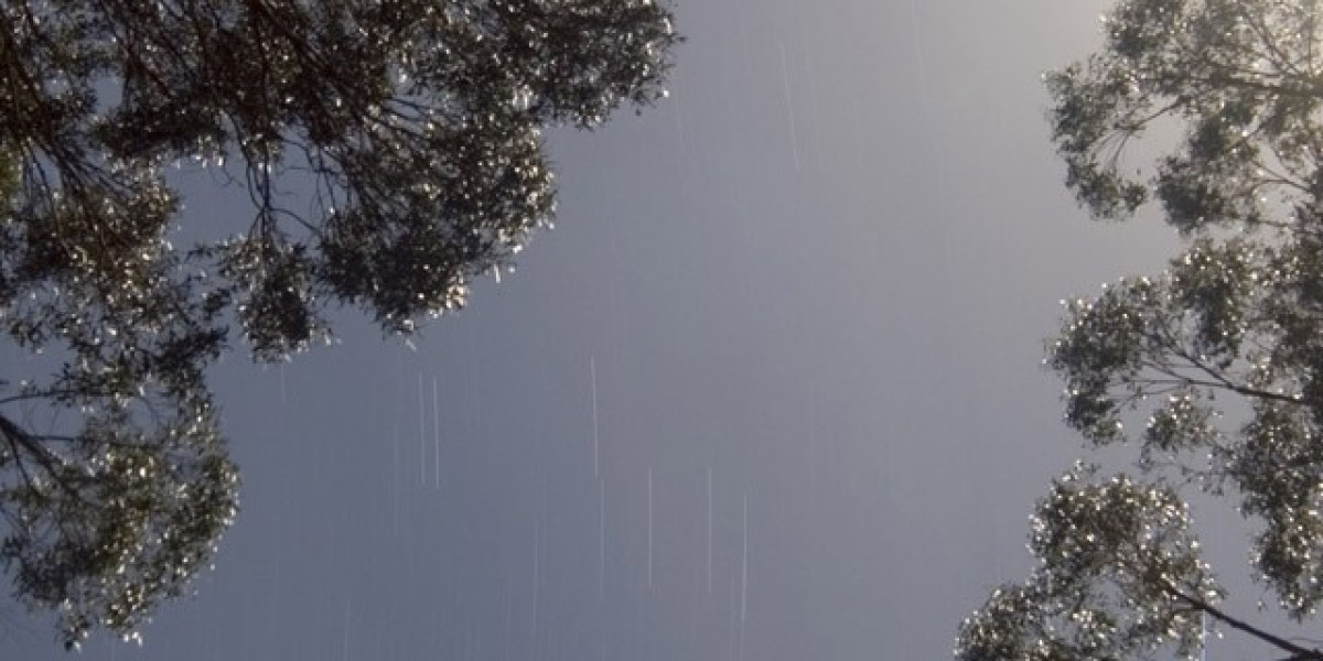 Get A$2500 + 250 Free Spins