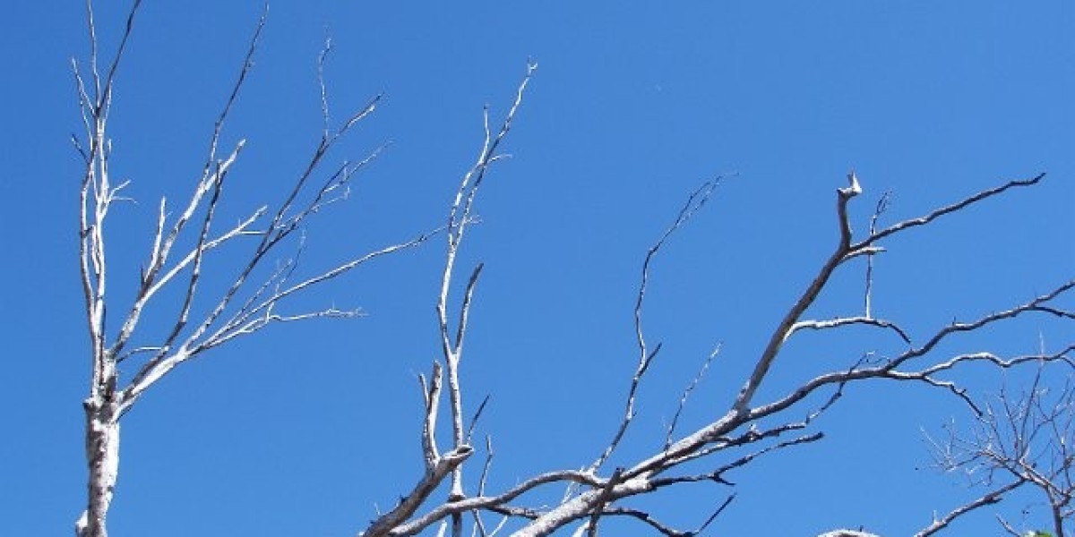 Blast Off to Epic Wins!