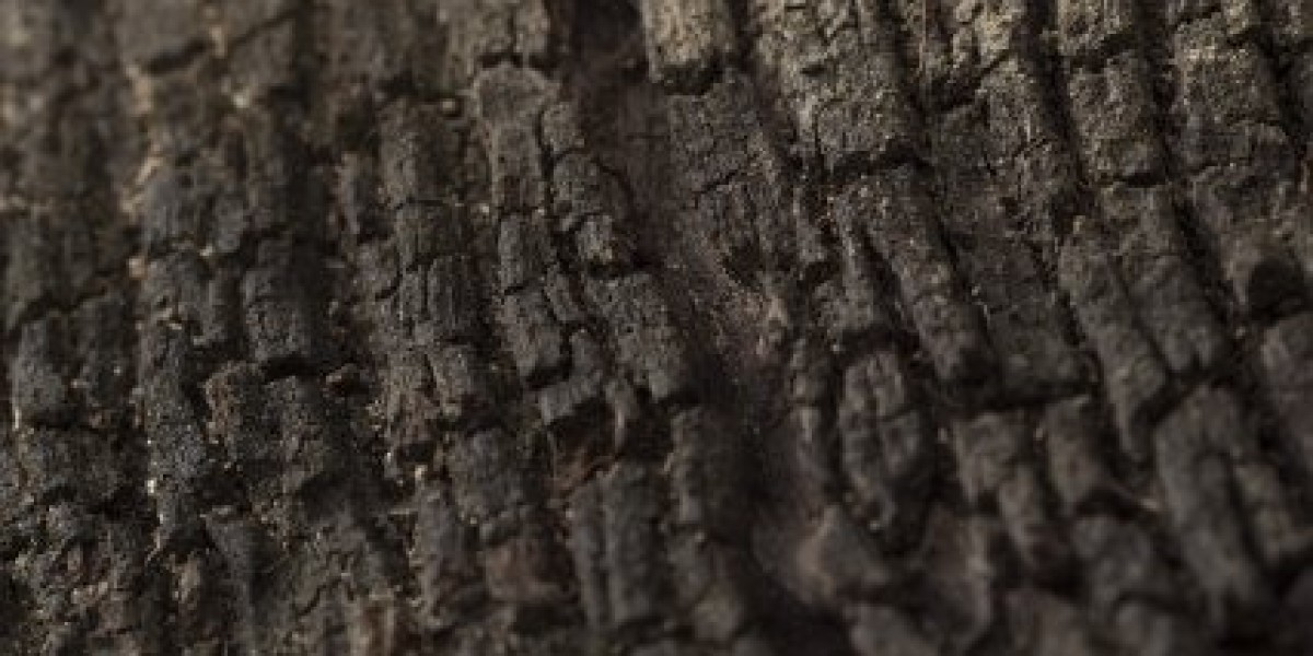 Queensland 21 At Brisbane Casino