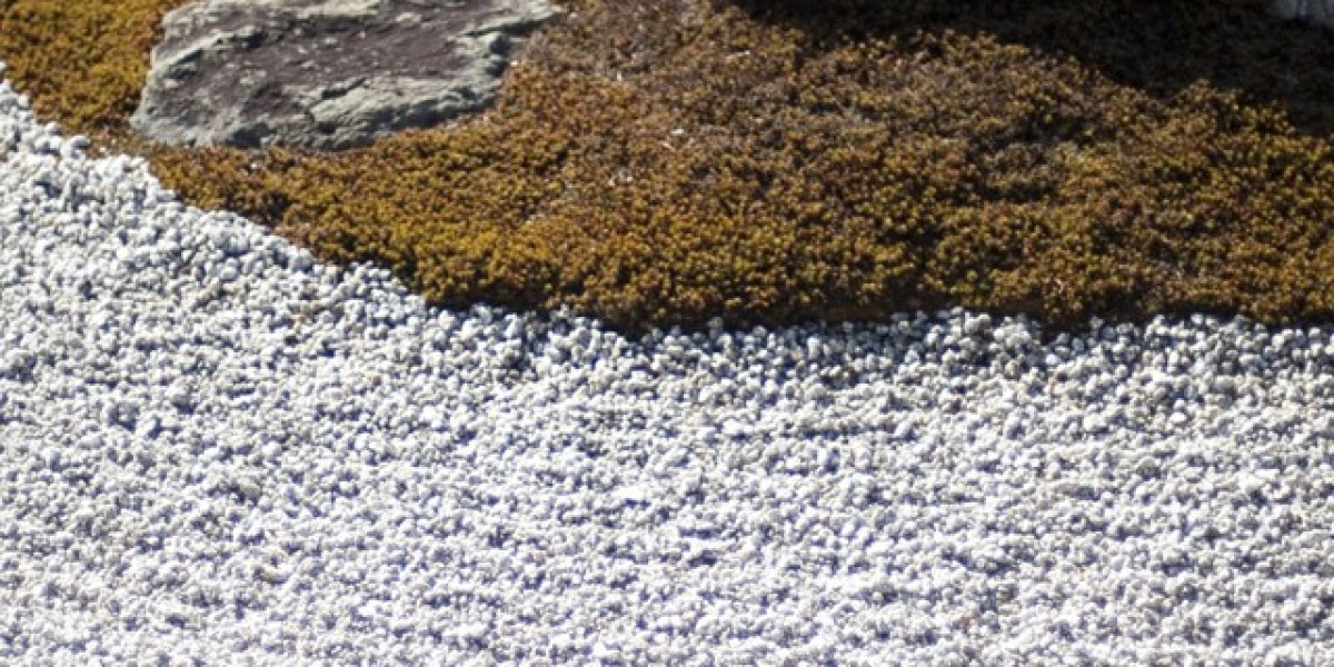 Welcome to Skycrown Casino Your Kingdom of Games