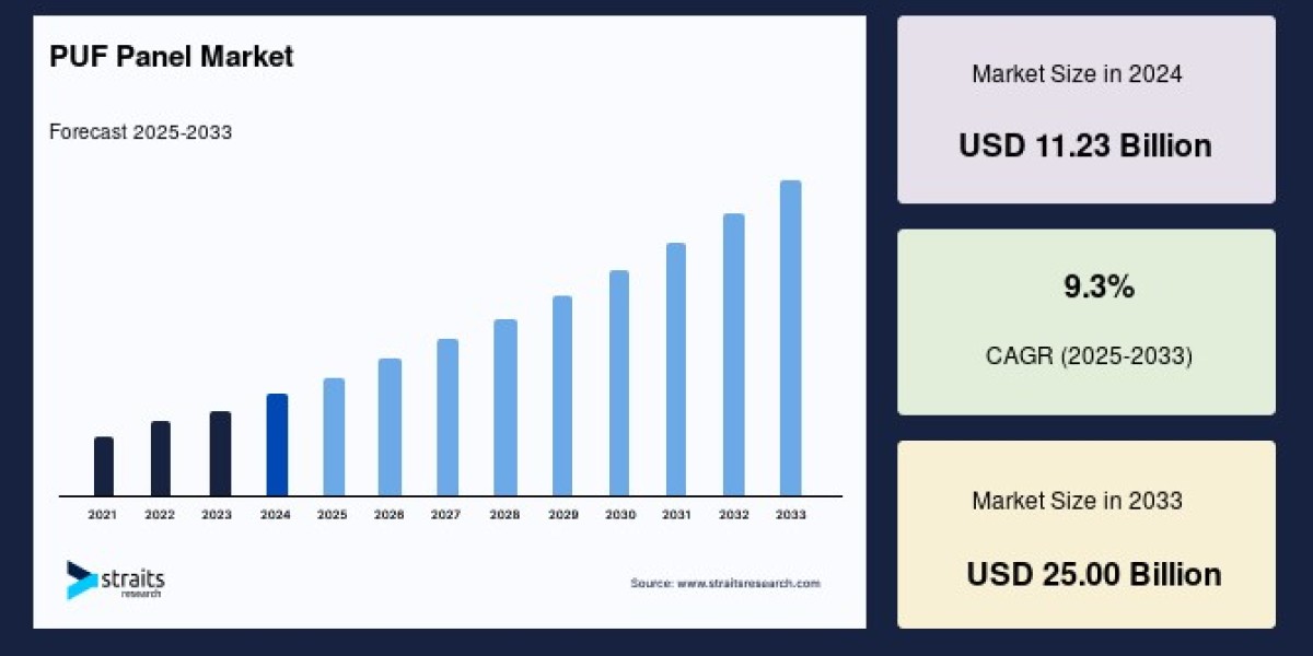 PUF Panel Market Outlook 2025–2033: Identifying High-Growth Opportunities Across Niche Segments