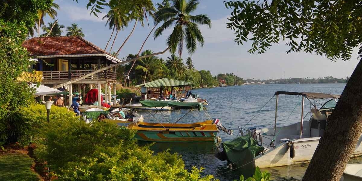 Sri Lanka Tours and Sri Lanka and Maldives Holiday Packages: Explore Paradise in the Indian Ocean