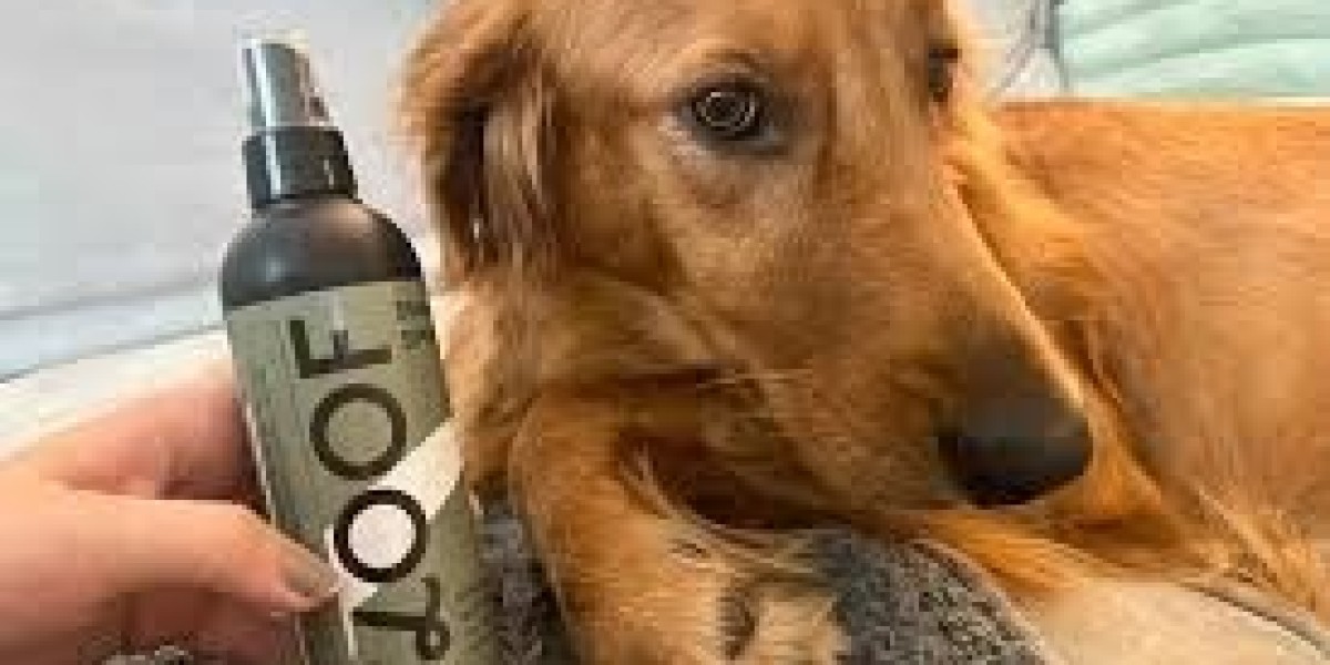 Top 10 Dog Paw Cleaners Every Pet Owner Should Try in 2026