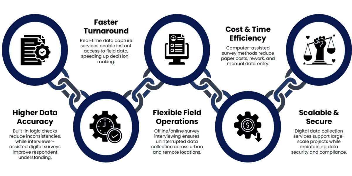 CAPI Services Guide: Digital Field Data Collection & Survey Methods