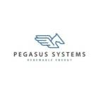 Pegasus Systems Profile Picture